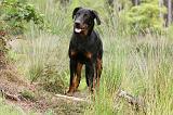 BEAUCERON 416